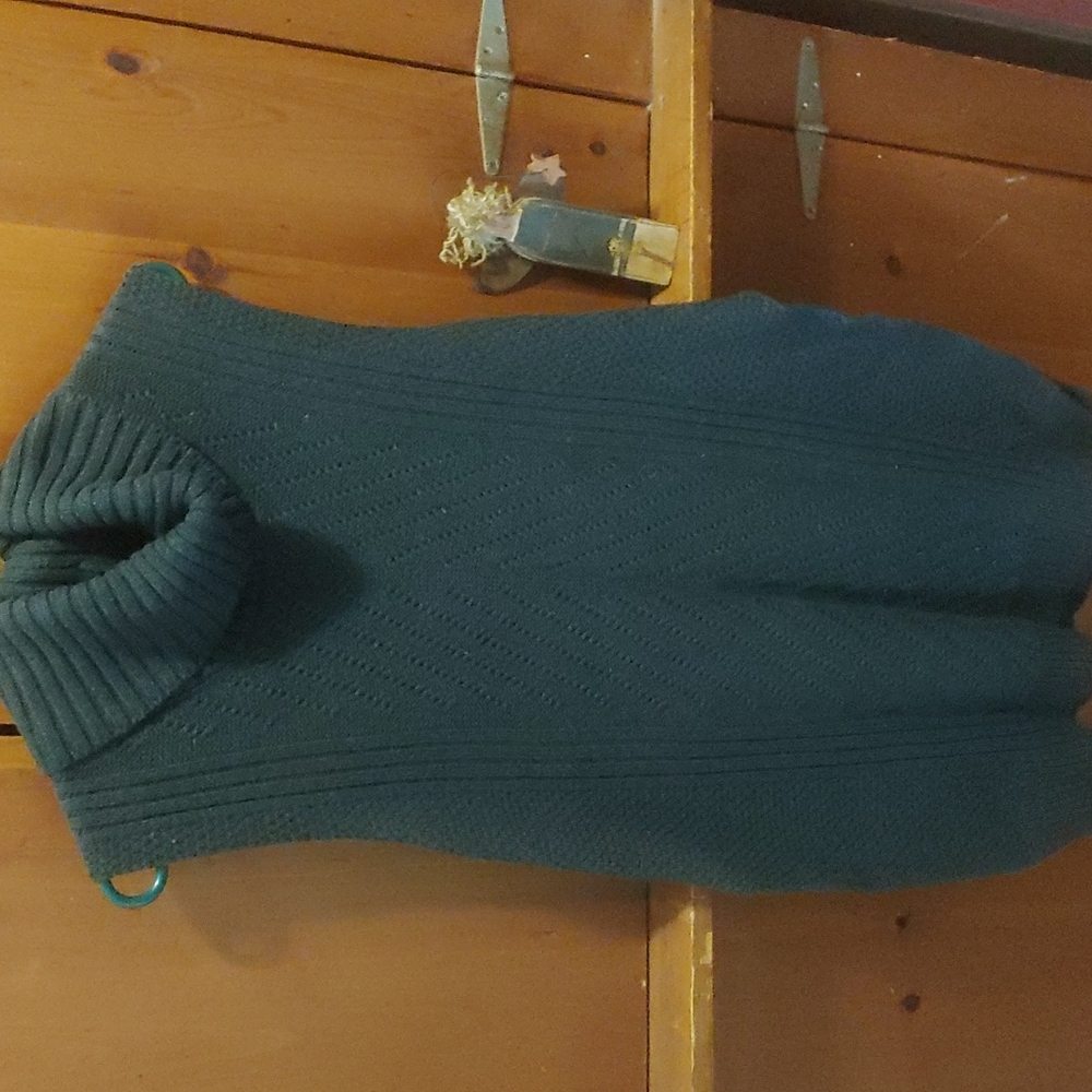 Sleeveless Long Turtleneck Sweater